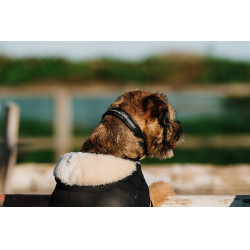 Cobija para perro Te quiero Equithème Negro