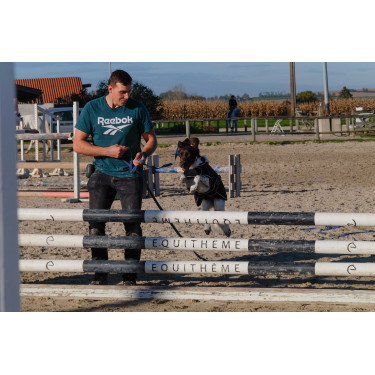 Cobija para perro Te quiero Equithème Cobija para perro Te quiero Equithème