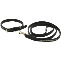 Collar y correa para perro EQUITHÈME - Max Negro