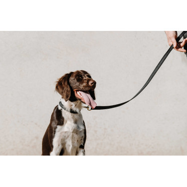 Collar para perro EQUITHÈME - Nala Negro