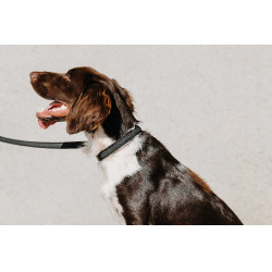 Collar para perro EQUITHÈME - Nala Negro
