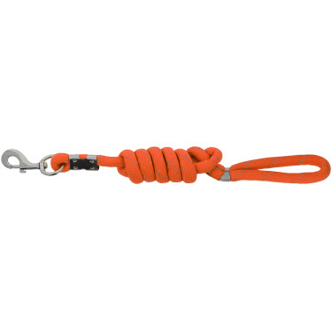 Correa para perro EQUITHÈME - Rio Naranja