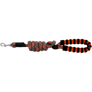 Correa para perro con asa EQUITHÈME - Haspen Negro / empuñadura naranja