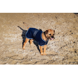 Camisa polar para perro Equithème Marino Azul marino