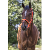 Cabezada forrada Norton Fluo Naranja