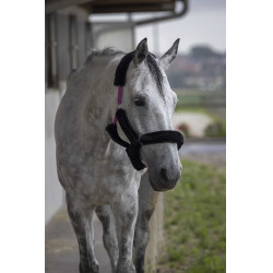 Cabezada Norton Full de borreguillo sintético Fucsia / negro Rosa