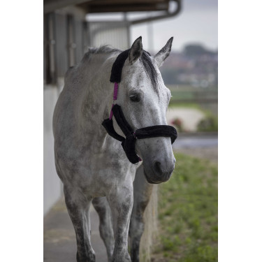 Cabezada Norton Full de borreguillo sintético Fucsia / negro Rosa