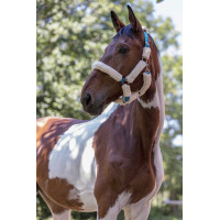 Cabezada Norton Full de borreguillo sintético Negro / negro