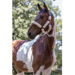 Cabezada Norton Full de borreguillo sintético Azul eléctrico / crudo