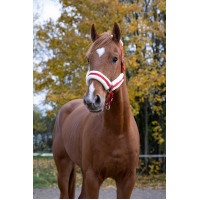 Cabezada de cuadra Norton Confort Roja
