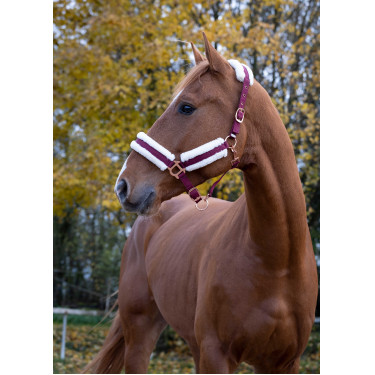 Cabezada de cuadra Norton Confort Burdeos