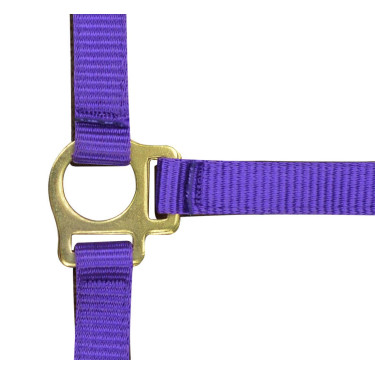Cabezada potro de nylon Cabezada potro de nylon