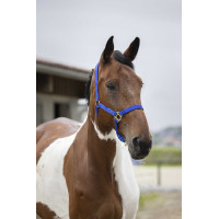 Cabezada de nylon doble espesor con cierre por hebillas Azul real Cabezada de nylon doble espesor con cierre por hebillas Azul real