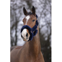 Cabezada Equi-Theme Teddy rose gold Azul marino