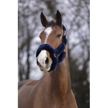 Cabezada Equi-Theme Teddy rose gold Azul marino