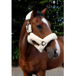 Cabezada Equi-Theme Teddy Cabezada Equi-Theme Teddy