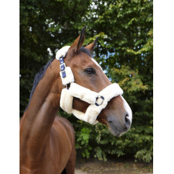 Cabezada Equi-Theme Teddy Marina / crudo Azul