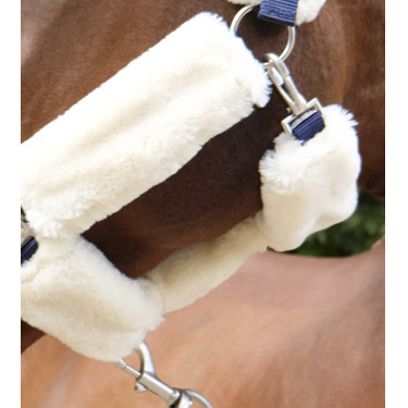 Cabezada Equi-Theme Teddy Marina / crudo Azul