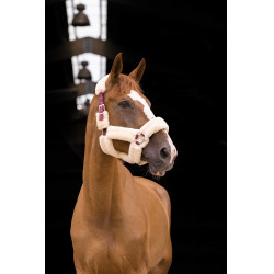 Cabezada Equi-Theme Teddy Burdeos / crudo