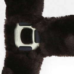 Cabezada Equi-Theme Teddy Marino / marrón Azul