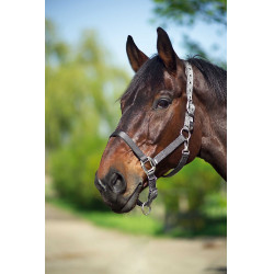 Cabezada Equi-Theme "Nylon" Gris oscuro