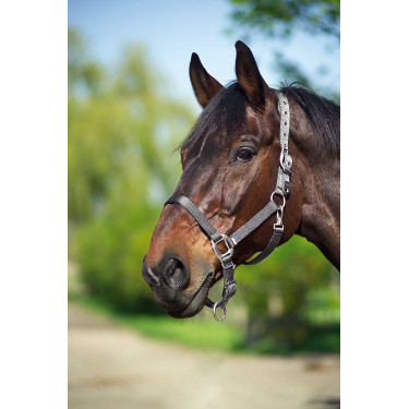 Cabezada Equi-Theme "Nylon" Gris oscuro