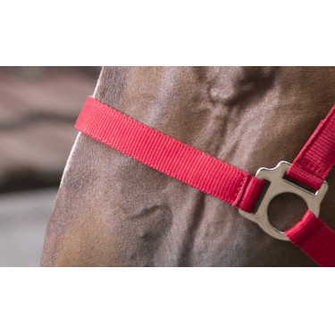 Conjunto de cabezada y ramal Club Conjunto de cabezada y ramal Club
