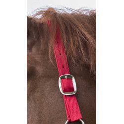 Conjunto de cabezada y ramal Club Roja Rojo