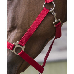 Conjunto de cabezada y ramal Club Roja Rojo