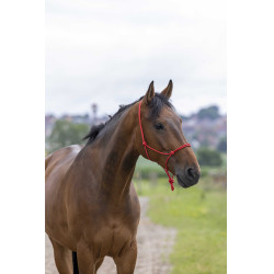 Cabezada de cuadra natural de cuerda Fin Roja Rojo