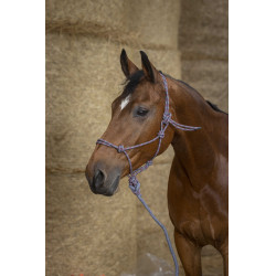 Cabezada etológica Norton + ramal Eco Gris / frambuesa / negro