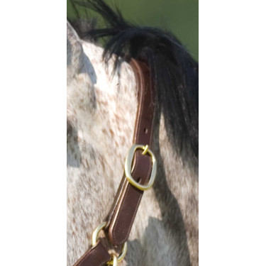 Cabezada Excelsior con doble ajuste Cabezada Excelsior con doble ajuste