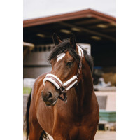 Cabezada de nailon Equithème Fashion Castaño Marrón Cabezada de nailon Equithème Fashion Castaño Marrón