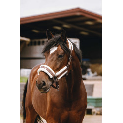 Cabezada de nailon Equithème Fashion Castaño Marr&amp;amp;amp;oacute;n