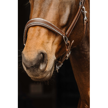 Cabezada de cuero Norton Rock Havana Marrón