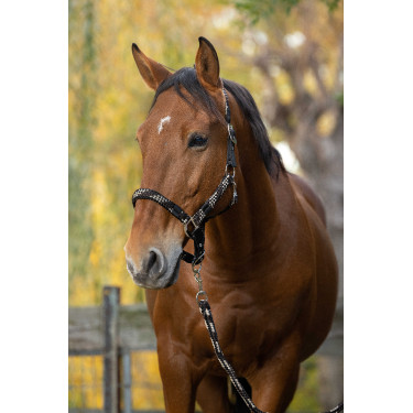 Cabezada + ramal Equitheme trenzado Beige / chocolate / negro