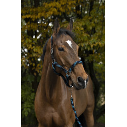 Cabezada + ramal Equitheme trenzado Turquesa / azul marino / negro