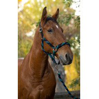 Cabezada + ramal Equitheme trenzado Beige / chocolate / negro