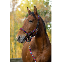 Cabezada + ramal Equitheme trenzado Fucsia / azul cielo / azul marino