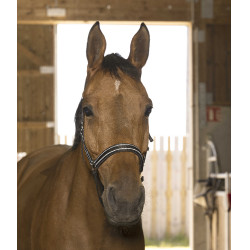 Cabezada de cuadra Norton "Reflective" Negro Cabezada de cuadra Norton "Reflective" Negro