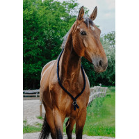 Collar Etológico NORTON Negro Collar Etológico NORTON Negro