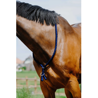 Collar Etológico NORTON Azul real Collar Etológico NORTON Azul real