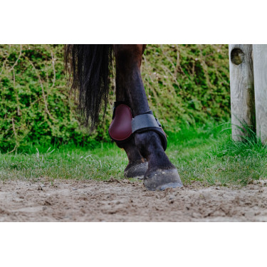 Protectores de tendón RIDING WORLD Protectores de tendón RIDING WORLD