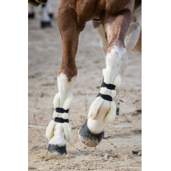 Protectores de tendón abotonadas Norton XTR de borreguillo sintético Azul marino Protectores de tendón abotonadas Norton XTR de borreguillo sintético Azul marino