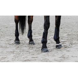 Protectores de tendón EQUITHÈME Negro Protectores de tendón EQUITHÈME Negro