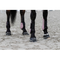 Protectores de tendón EQUITHÈME Negro