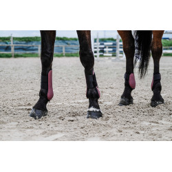 Protectores de tendón EQUITHÈME Burdeos