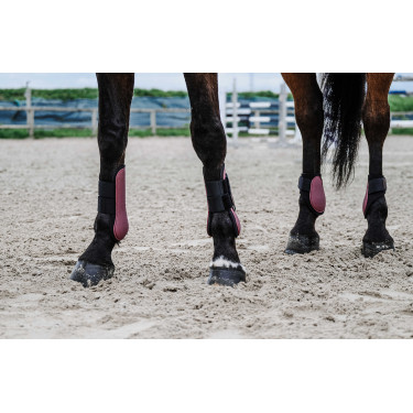 Protectores de tendón EQUITHÈME Burdeos