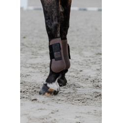 Protectores de tendón EQUITHÈME Castaño