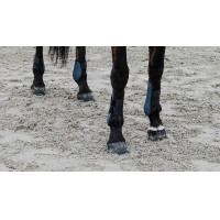 Protectores de tendón EQUITHÈME Negro